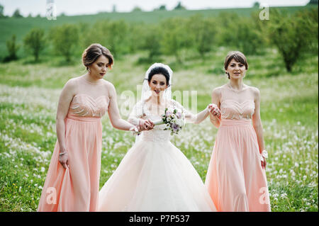 Belles demoiselles avec bride sur le terrain plein de fleurs le jour du mariage. Banque D'Images