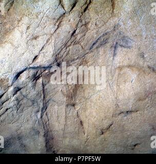 CUEVA DE EKAIN. GALERIA DE ZALDEI O DE LOS CABALLOS : VARIAS PINTURAS DE CABALLOS Y décrire. DEVA, GUIPUZCOA, PAYS BASQUE, ESPAGNE. Banque D'Images