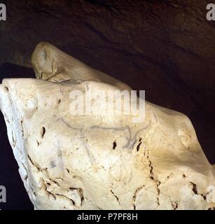 CUEVA DE EKAIN. GALERIA DE ZALDEI : BISONTE PINTADO. DEVA, GUIPUZCOA, PAYS BASQUE, ESPAGNE. Banque D'Images