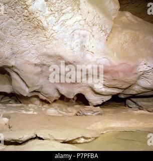 CUEVA DE EKAIN. GALERIA DE ZALDEI O DE LOS CABALLOS : VARIAS PINTURAS DE CABALLOS Y décrire. DEVA, GUIPUZCOA, PAYS BASQUE, ESPAGNE. Banque D'Images