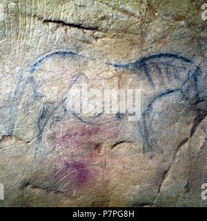 CUEVA DE EKAIN. GALERIA DE ZALDEI O DE LOS CABALLOS : VARIAS PINTURAS DE CABALLOS Y décrire. DEVA, GUIPUZCOA, PAYS BASQUE, ESPAGNE. Banque D'Images