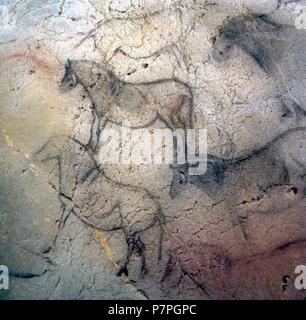 CUEVA DE EKAIN. GALERIA DE ZALDEI O DE LOS CABALLOS : VARIAS PINTURAS DE CABALLOS Y décrire. DEVA, GUIPUZCOA, PAYS BASQUE, ESPAGNE. Banque D'Images