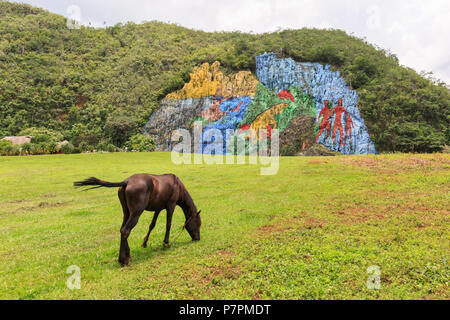 Murale de la Préhistoire,peinture murale géante dans le Parque Nacional Viñales, Sierra de Viñales, province de Pinar del Rio, Cuba Banque D'Images