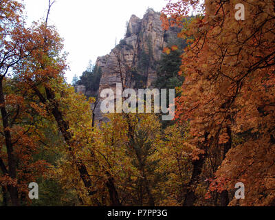 Arizona Sedona Sedona sedona Arizona désert paysage paysage paysage paysage oasis cactus canyon grand canyon arches bryce Banque D'Images