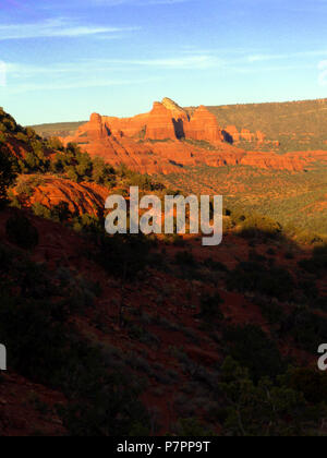 Arizona Sedona Sedona sedona Arizona désert paysage paysage paysage paysage oasis cactus canyon grand canyon arches bryce Banque D'Images