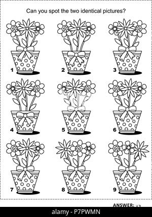 Formation QI trouver les deux images identiques avec des pots de fleurs en notation puzzle visuel et à colorier. Réponse inclus. Illustration de Vecteur