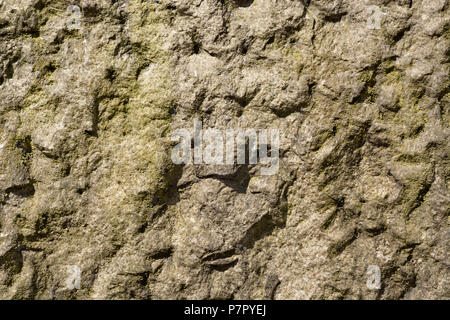 Surface de granit rugueux et inégal avec des taches de lichen vert Banque D'Images