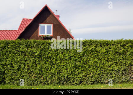 Le toit rouge de la petite maison en bois privé rural et clôture couverture de conifère Thuja. Matin de printemps ensoleillé paysage extérieur Banque D'Images