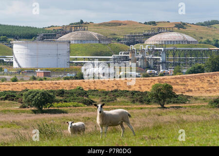 Mossmorran usine pétrochimique dans la région de Fife, Scotland, UK Banque D'Images