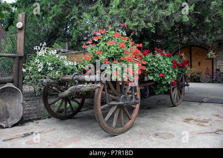 Boiseries en bois vintage panier rempli d'été colorés de fleurs et de plantes en pot Banque D'Images