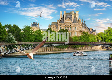 Mouettes sur Seine à Paris, France Banque D'Images