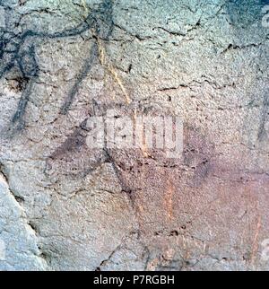 CUEVA DE EKAIN. GALERIA DE ZALDEI O DE LOS CABALLOS : VARIAS PINTURAS DE CABALLOS Y décrire. DEVA, GUIPUZCOA, PAYS BASQUE, ESPAGNE. Banque D'Images