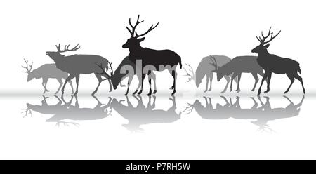 Groupe de noir et gris de silhouettes isolées de quelques cerfs mâles (red deer) avec réflexion isolé sur fond blanc. Vector illustration. Illustration de Vecteur