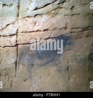 CUEVA DE EKAIN. GALERIA DE ZALDEI O DE LOS CABALLOS : VARIAS PINTURAS DE CABALLOS Y décrire. DEVA, GUIPUZCOA, PAYS BASQUE, ESPAGNE. Banque D'Images