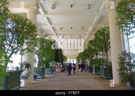 Anglais : Orangerie au Château Royal de Laeken, Bruxelles, Belgique. 17 avril 2016, 06:28:07 295 - l'intérieur de l'Orangerie du Château Royal de Laeken, Bruxelles, Belgique - DSC07005 Banque D'Images