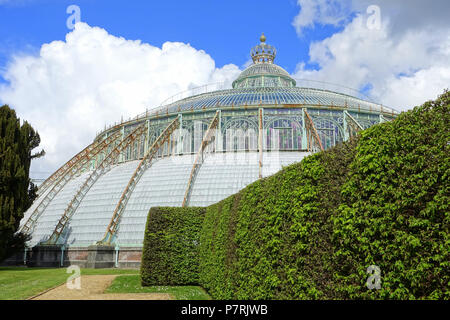 N/A. N/A 402 Jardin d'hiver - Château Royal de Laeken, Bruxelles, Belgique - DSC07052 Banque D'Images