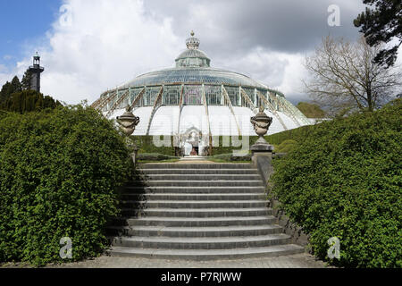 N/A. N/A 402 Jardin d'hiver aux étapes - Château Royal de Laeken, Bruxelles, Belgique - DSC07073 Banque D'Images