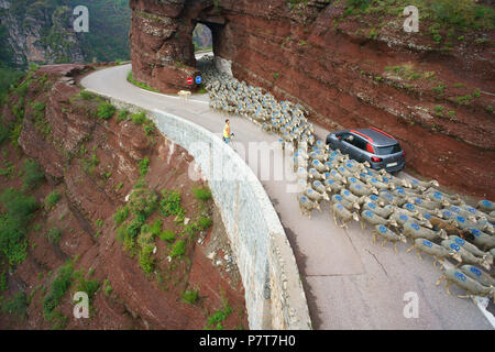 VUE AÉRIENNE depuis un mât de 6 mètres. Transhumance dans la gorge de Daluis sur le chemin des pâturages d'été. Guillaumes, arrière-pays de la Côte d'Azur, France. Banque D'Images