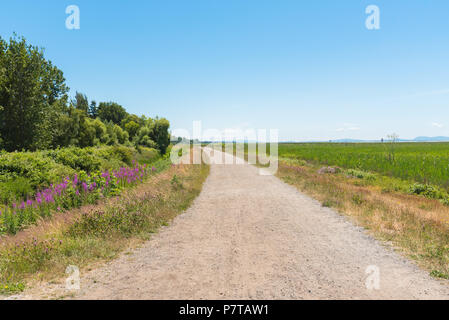 Panneaux d'allées, de disparaître dans la distance, bordée d'arbres et d'arbustes sur un côté avec marsh sur d'autres Banque D'Images