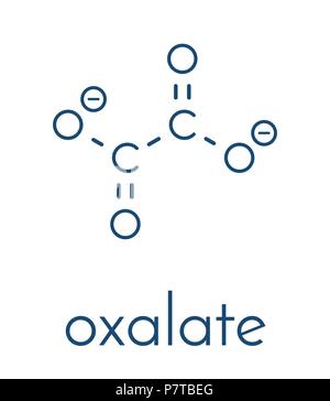 L'anion oxalate, structure chimique. Les sels d'oxalate peut former des calculs rénaux. Formule topologique. Illustration de Vecteur