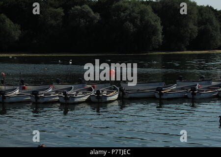 Paysages - Ligne de pêche bateaux amarrés sur l'eau sur une fin d'après-midi à Hanningfield réservoir, Essex, Angleterre. Banque D'Images