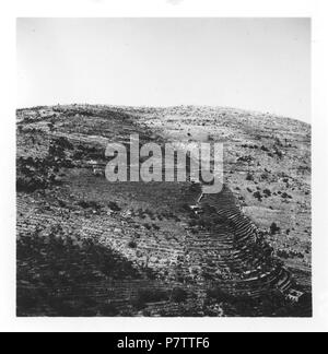 Liban, Beid-eddin (Beit Ed Din, Beiteddin) : Weinberg ; Blick auf Hügel. à partir de 1935 jusqu'à 1935 74 CH-NB - Liban, Beid-eddin (Beit Ed Din, Beiteddin)- Weinberg - Annemarie Schwarzenbach - SLA-Schwarzenbach-A-5-05-008 Banque D'Images