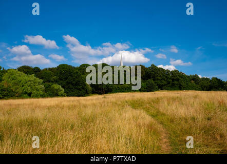 Londres, Angleterre. 7 juillet 2018. La canicule a fait l'herbe sur Harrow-on-the-Hill Amadou sèche. La canicule actuelle va continuer. ©Tim Ring/Alamy Live News Banque D'Images