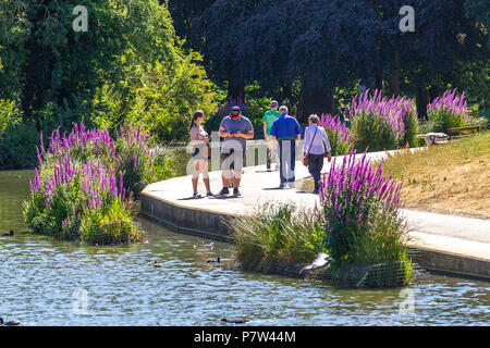 Northampton. Royaume-uni le 8 juillet 2018. Météo. Les personnes bénéficiant de l'air plus frais par le lac en Abington Park avant la chaleur de la journée c'est très occupé ce matin après un parc vide hier après-midi avec l'observation des eveyone football. Credit : Keith J Smith./Alamy Live News Banque D'Images