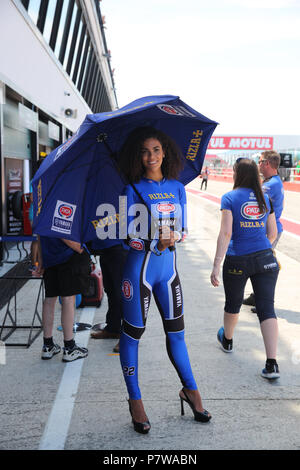 Misano, Italie. 8 juillet, 2018. Filles de la grille pendant le Championnat Superbike FIM Motul - Ronde italienne dimanche au cours de la World Superbikes - PIRELLI Circuit Riviera di Rimini, ronde 6 - 8 juillet 2018 à Misano, en Italie. Crédit : Fabio Averna/Alamy Live News Banque D'Images