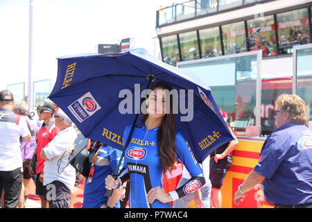 Misano, Italie. 8 juillet, 2018. Filles de la grille pendant le Championnat Superbike FIM Motul - Ronde italienne dimanche au cours de la World Superbikes - PIRELLI Circuit Riviera di Rimini, ronde 6 - 8 juillet 2018 à Misano, en Italie. Crédit : Fabio Averna/Alamy Live News Banque D'Images