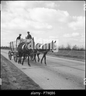 USA, zwischen Montgomery/AL und Columbus/GA : Kutsche ; Zwei Männer in einer Kutsche eigenschaften von Maultieren. à partir de 1936 jusqu'à 1938 87 CH-NB - USA, zwischen Montgomery-AL-Columbus GA- und Kutsche - Annemarie Schwarzenbach - SLA-Schwarzenbach-A-5-11-081 Banque D'Images