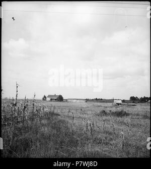 USA, zwischen Montgomery/AL/Columbus GA : und Landschaft, Weiden, im Hintergrund ein Häuser. à partir de 1936 jusqu'à 1938 87 CH-NB - USA, zwischen Montgomery-AL-Columbus GA- und Landschaft - Annemarie Schwarzenbach - SLA-Schwarzenbach-A-5-11-077 Banque D'Images