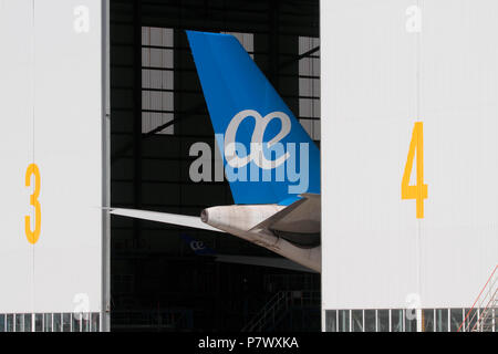 La queue de l'avion avec Air Europa logo dans un hangar pendant l'entretien Banque D'Images