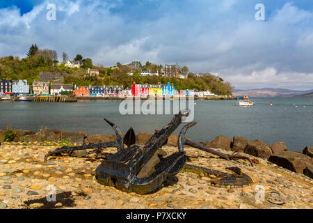 Boutiques colorées, bars, restaurants, hôtels et maisons line le port historique à Tobermory, Isle of Mull, Argyll and Bute, Ecosse, Royaume-Uni Banque D'Images