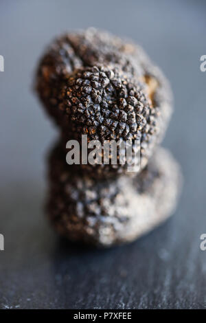 Les truffes blanches d'été, le diamant de la cuisine. Banque D'Images