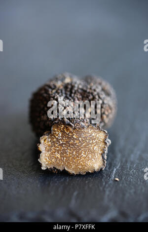 Les truffes blanches d'été, le diamant de la cuisine. Banque D'Images