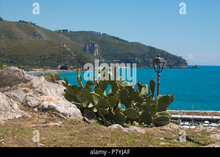 Oponce de l'est près de la mer de Sperlonga, Latium Banque D'Images