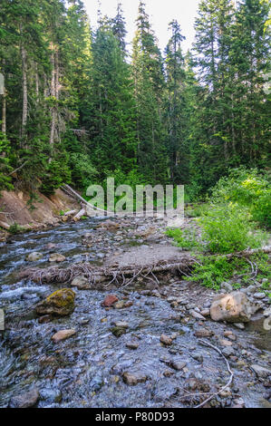 Le Nickel Creek Banque D'Images