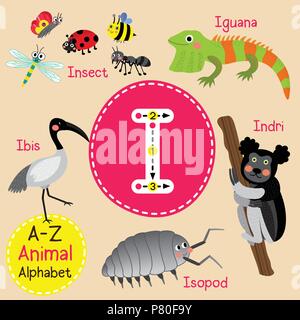 Enfants mignon alphabet zoo I Lettre de traçabilité des animaux funny cartoon pour les enfants l'apprentissage de l'anglais vocabulary Illustration de Vecteur