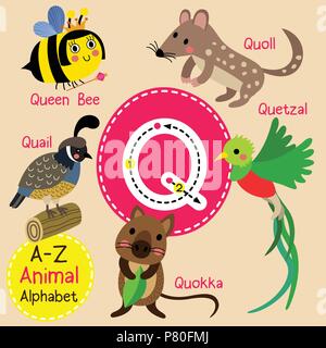 Enfants mignon alphabet zoo lettre Q le traçage des animaux funny cartoon pour les enfants l'apprentissage de l'anglais vocabulary Illustration de Vecteur