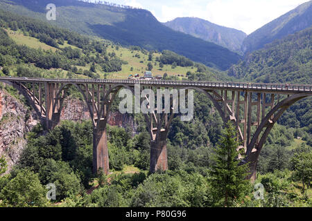 Le canyon de la rivière Tara pont Djurdjevic Monténégro Banque D'Images