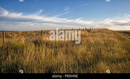 Le long de South Downs Way, East Sussex Banque D'Images