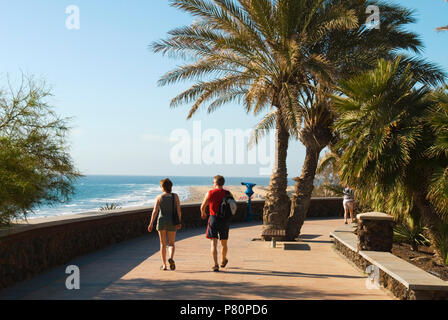 Afficher le long de la promenade bordée de palmiers au-dessus de Playa del Ingles à Maspalomas Banque D'Images