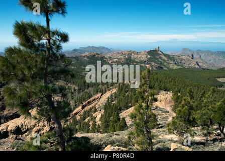 Voir l'envers du Roque Nublo Pozo de las Nieves Banque D'Images