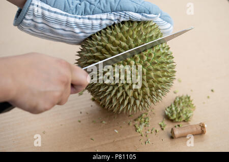 La main à l'aide de couteau pour peler durian shell qui a beaucoup d'épines. Scieries de fruits de saison, le roi des fruits de Thaïlande. Le durian peel, gant, couteau. Banque D'Images