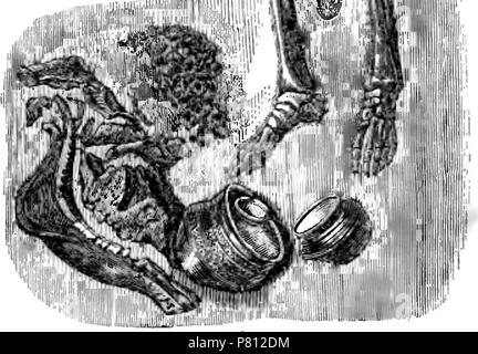 Illustration de 'Horse-chaussures et de ferrure : leur origine, l'histoire, l'use et abuse ', pag. 130 (PARTIE II), George Fleming, Chapman and Hall, Londres 1869. Tombeau celtique. 1869 Cheval Cheval 199 chaussures et raquettes130 page 2 Banque D'Images