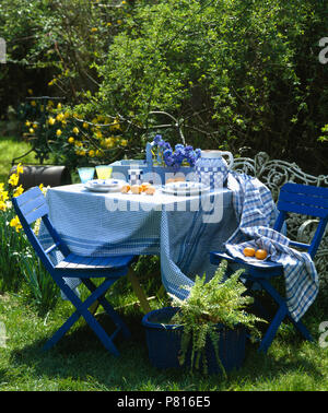 Chaises en bois peint bleu à table avec un chiffon bleu vérifié sur la pelouse en pays jardin en été Banque D'Images