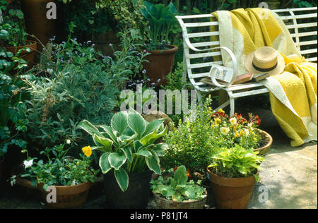 Hostas et pensées en pots sur terrasse avec matelassé jaune jeter sur le vieux banc en fer forgé blanc Banque D'Images