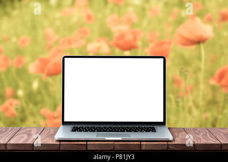 Les ordinateurs portables avec écran vide. Vue avant Banque D'Images