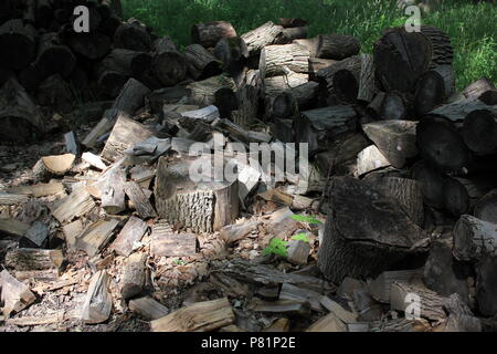 De nombreuses piles de bois de chauffage dans la prairie. Banque D'Images